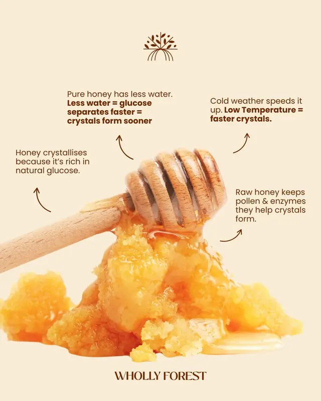 Wholly Forest - Why Real Raw Honey Naturally Crystallizes